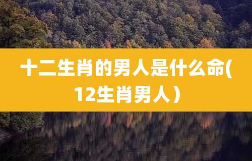 十二生肖的男人是什么命(12生肖男人)