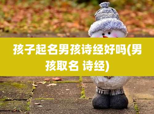孩子起名男孩诗经好吗(男孩取名 诗经)