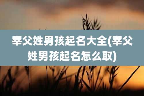 宰父姓男孩起名大全(宰父姓男孩起名怎么取)