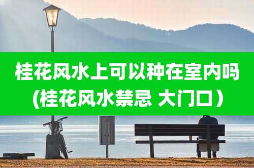 桂花风水上可以种在室内吗(桂花风水禁忌 大门口）