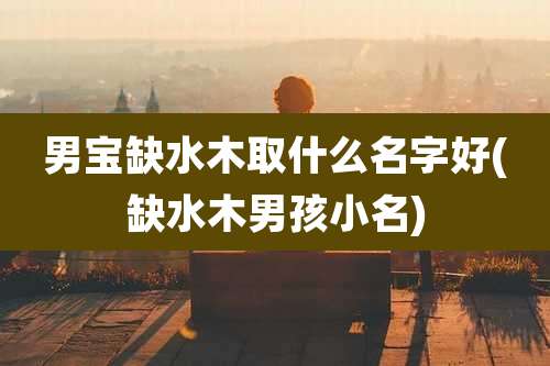 男宝缺水木取什么名字好(缺水木男孩小名)