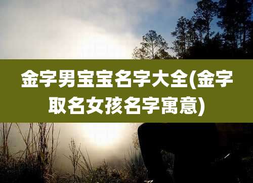 金字男宝宝名字大全(金字取名女孩名字寓意)