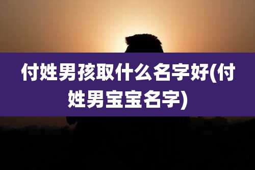 付姓男孩取什么名字好(付姓男宝宝名字)