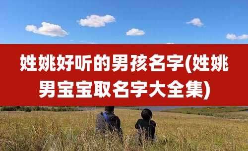 姓姚好听的男孩名字(姓姚男宝宝取名字大全集)