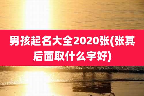 男孩起名大全2020张(张其后面取什么字好)