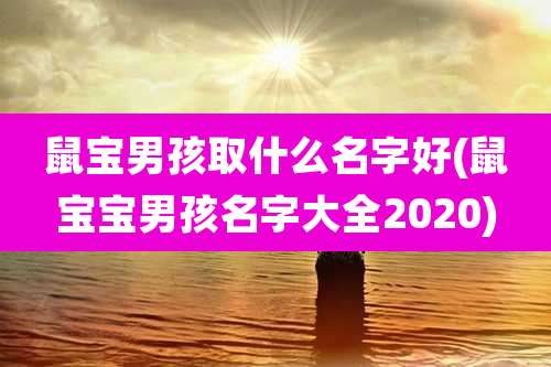 鼠宝男孩取什么名字好(鼠宝宝男孩名字大全2020)