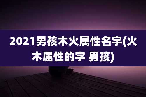 2021男孩木火属性名字(火木属性的字 男孩)