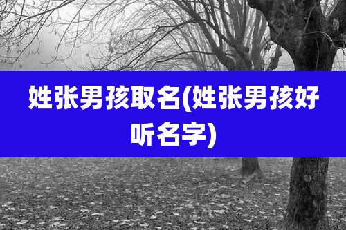 姓张男孩取名(姓张男孩好听名字)