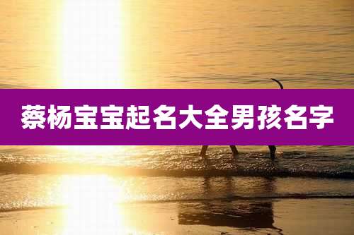 蔡杨宝宝起名大全男孩名字