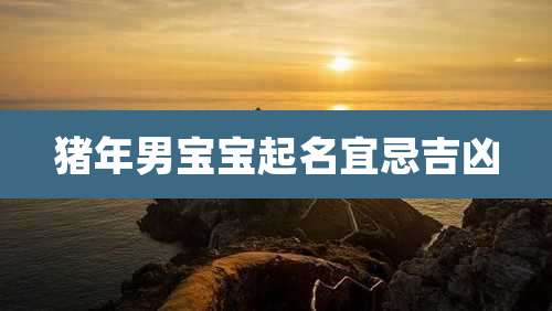 猪年男宝宝起名宜忌吉凶