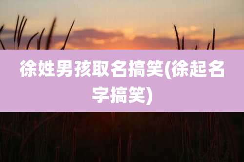 徐姓男孩取名搞笑(徐起名字搞笑)