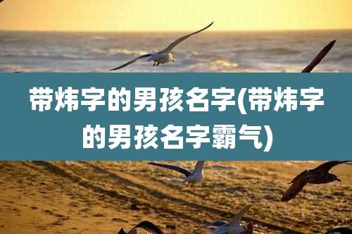 带炜字的男孩名字(带炜字的男孩名字霸气)