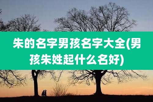 朱的名字男孩名字大全(男孩朱姓起什么名好)