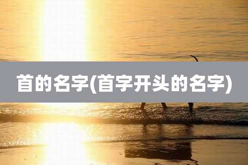 首的名字(首字开头的名字)