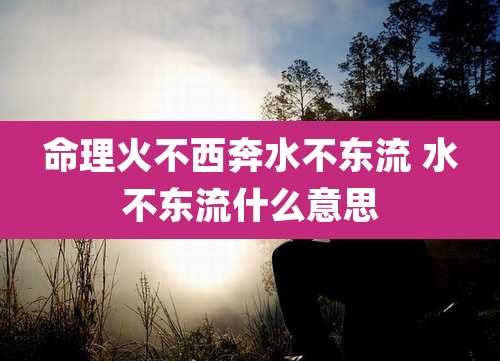 命理火不西奔水不东流 水不东流什么意思