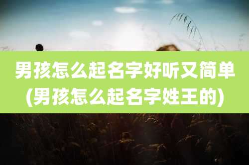 男孩怎么起名字好听又简单(男孩怎么起名字姓王的)