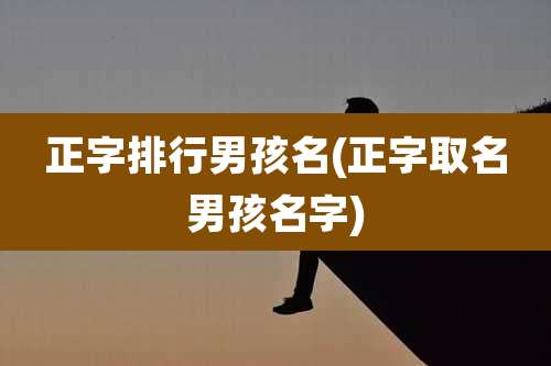 正字排行男孩名(正字取名男孩名字)