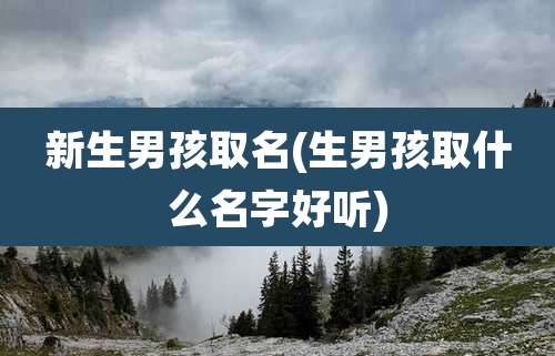 新生男孩取名(生男孩取什么名字好听)