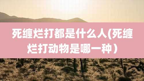 死缠烂打都是什么人(死缠烂打动物是哪一种)