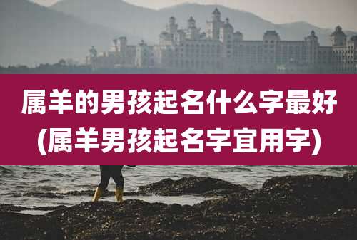 属羊的男孩起名什么字最好(属羊男孩起名字宜用字)