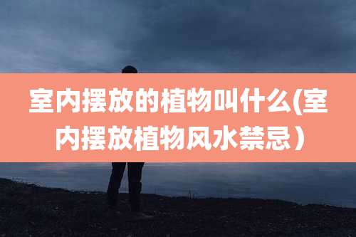 室内摆放的植物叫什么(室内摆放植物风水禁忌)
