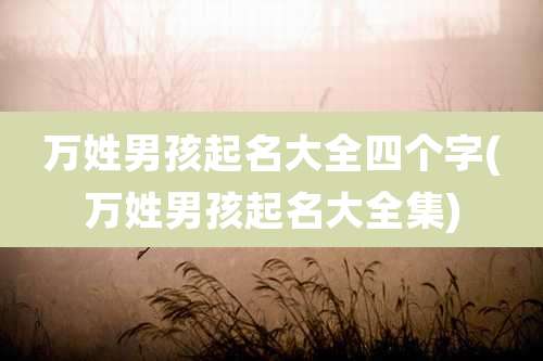 万姓男孩起名大全四个字(万姓男孩起名大全集)