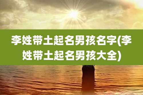 李姓带土起名男孩名字(李姓带土起名男孩大全)