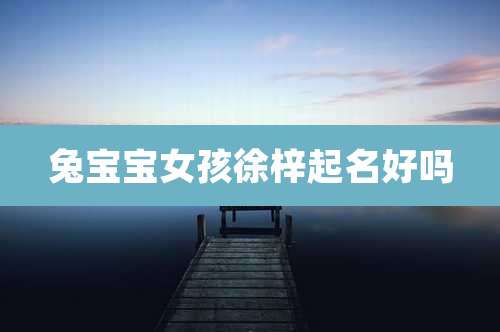 兔宝宝女孩徐梓起名好吗