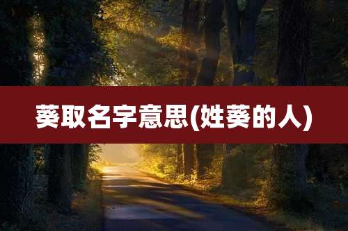 葵取名字意思(姓葵的人)