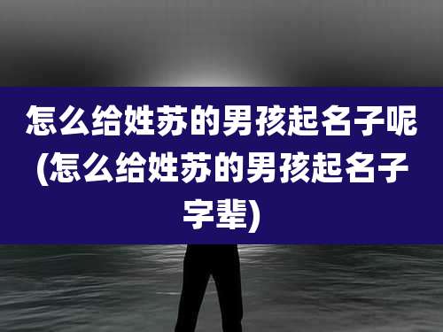 怎么给姓苏的男孩起名子呢(怎么给姓苏的男孩起名子字辈)