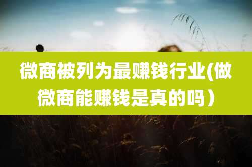 微商被列为最赚钱行业(做微商能赚钱是真的吗)