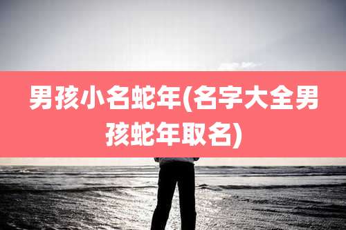 男孩小名蛇年(名字大全男孩蛇年取名)