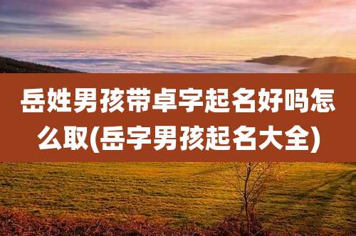 岳姓男孩带卓字起名好吗怎么取(岳字男孩起名大全)