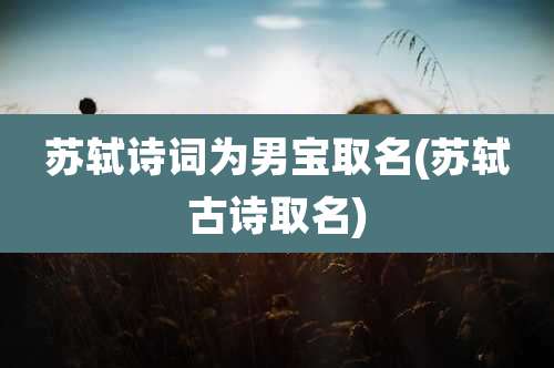 苏轼诗词为男宝取名(苏轼古诗取名)