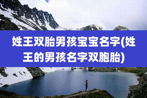 姓王双胎男孩宝宝名字(姓王的男孩名字双胞胎)