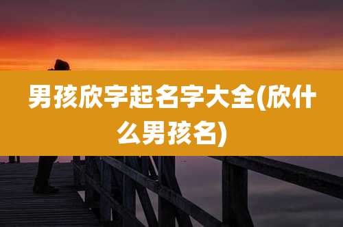 男孩欣字起名字大全(欣什么男孩名)