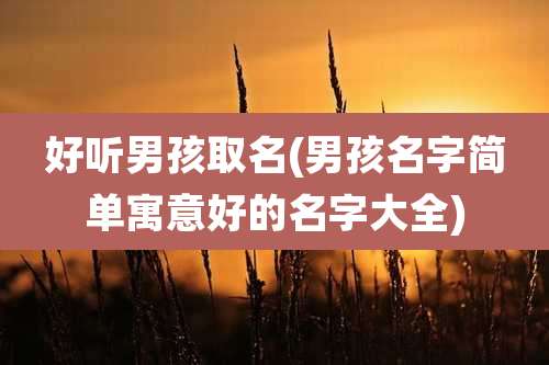 好听男孩取名(男孩名字简单寓意好的名字大全)