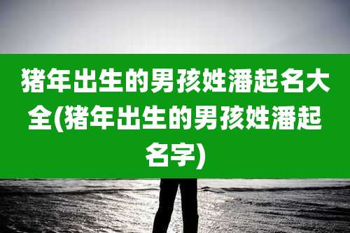 猪年出生的男孩姓潘起名大全(猪年出生的男孩姓潘起名字)