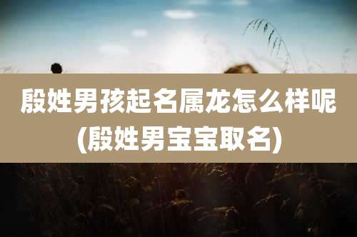 殷姓男孩起名属龙怎么样呢(殷姓男宝宝取名)