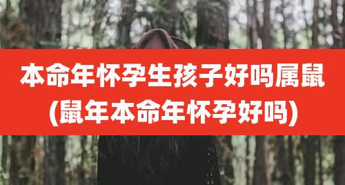 本命年怀孕生孩子好吗属鼠(鼠年本命年怀孕好吗)