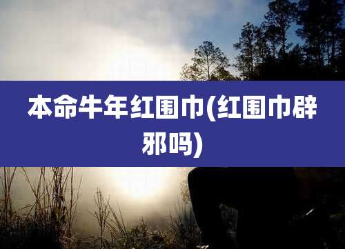 本命牛年红围巾(红围巾辟邪吗)
