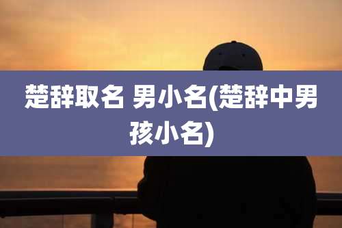 楚辞取名 男小名(楚辞中男孩小名)