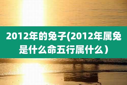 2012年的兔子(2012年属兔是什么命五行属什么)
