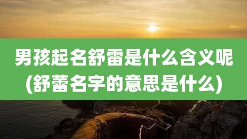 男孩起名舒雷是什么含义呢(舒蕾名字的意思是什么)