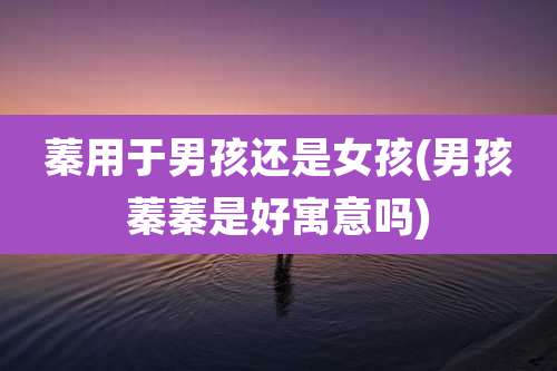 蓁用于男孩还是女孩(男孩蓁蓁是好寓意吗)