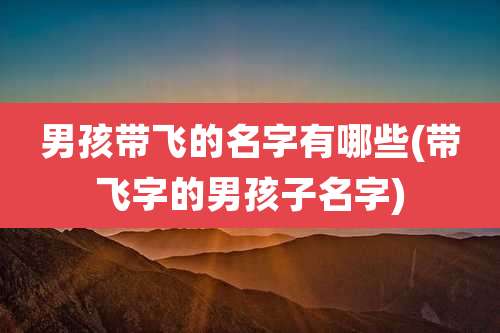 男孩带飞的名字有哪些(带飞字的男孩子名字)