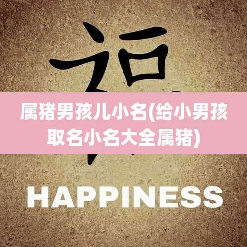 属猪男孩儿小名(给小男孩取名小名大全属猪)