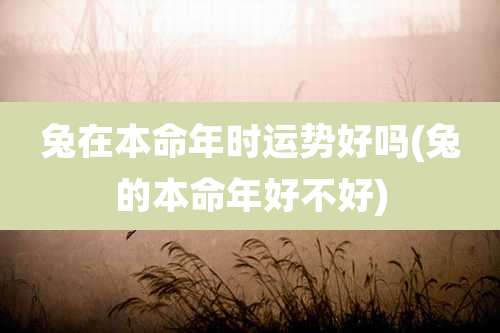 兔在本命年时运势好吗(兔的本命年好不好)