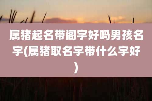 属猪起名带阁字好吗男孩名字(属猪取名字带什么字好)