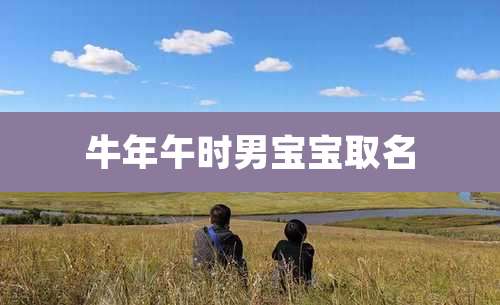 牛年午时男宝宝取名